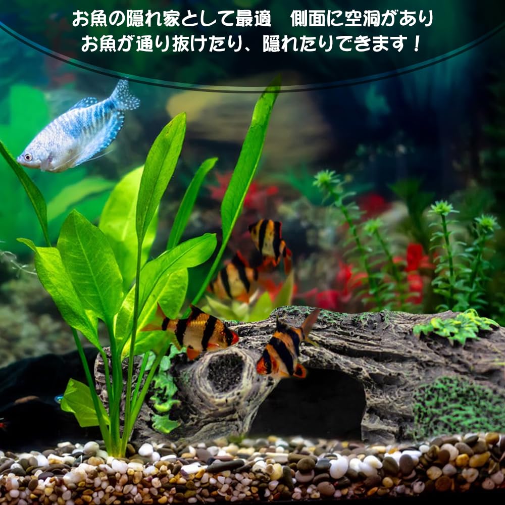 Amazon.co.jp: 水槽用 古代の城跡 アクアリウム オブジェ 流木 廃墟