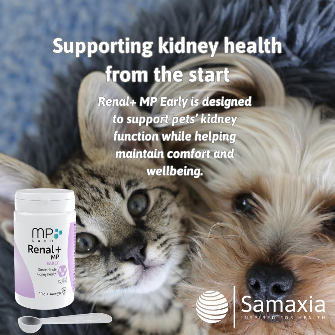 Renal+ MP Early for Dogs & Cats, Daily Kidney Support with B-Vitamins, Potassium & Omega-3 - Image 2