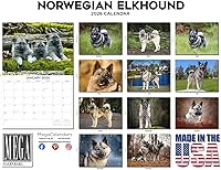 Vista 542 de Razas de Perros 2017