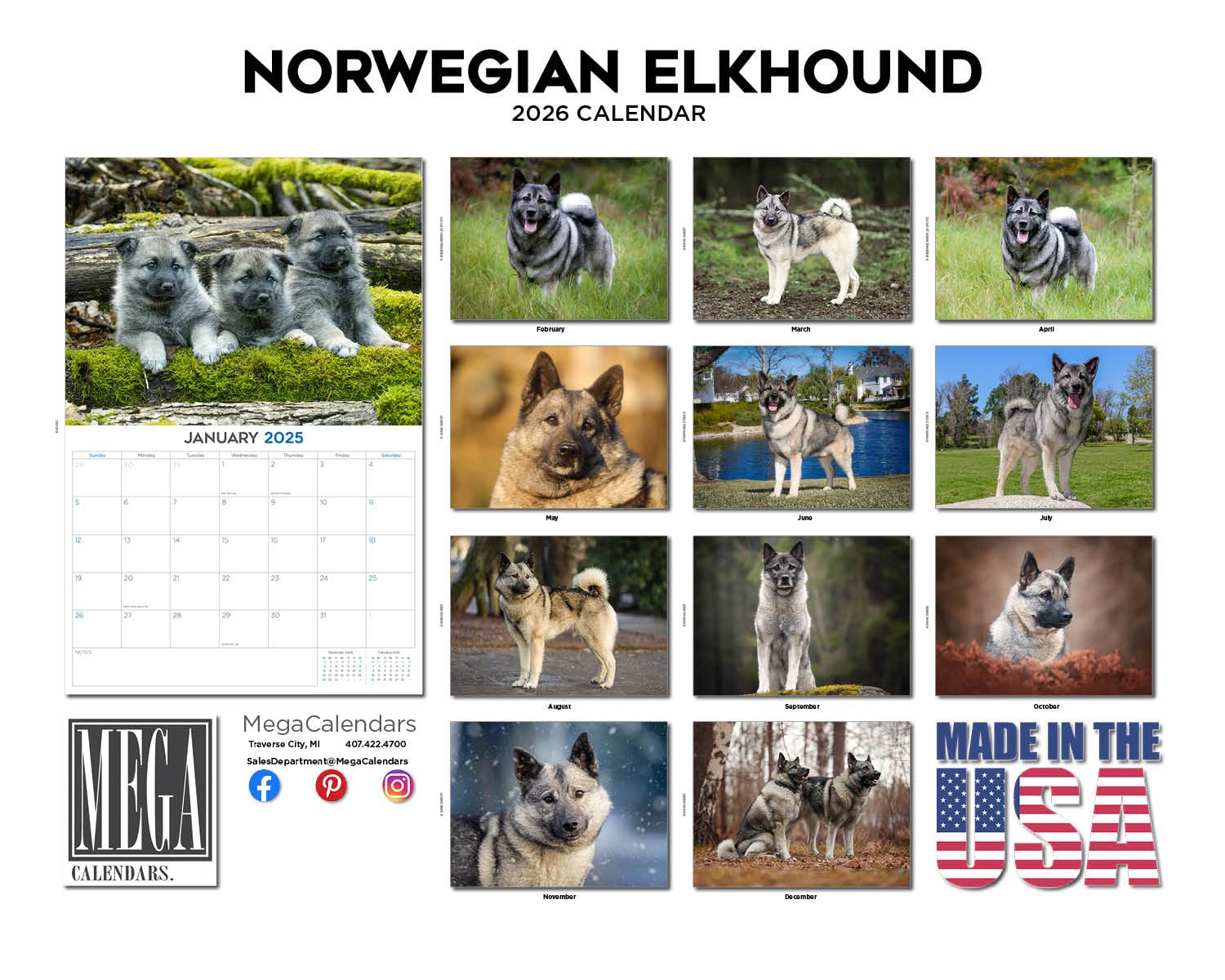 Calendario 2024 2025 Noruego de Elkhound – Calendario mensual de pared de raza de perro – 12 x 18 pulgadas abierto – Papel grueso que no se corre – Regalo – Planificador académico para profesores,