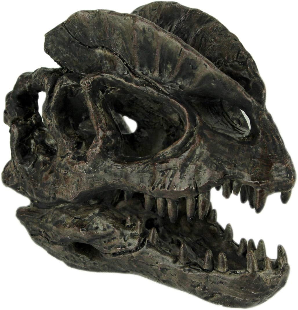 Things2Die4 Dilophosaurus Dinosaur Head Fossil Resin Replica Statue 6 Inches Long