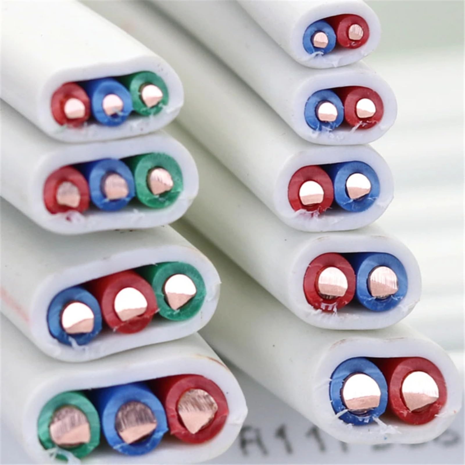 2 Cavi con gabbia di rame solido 3(-2C; 10m; 16 AWG)