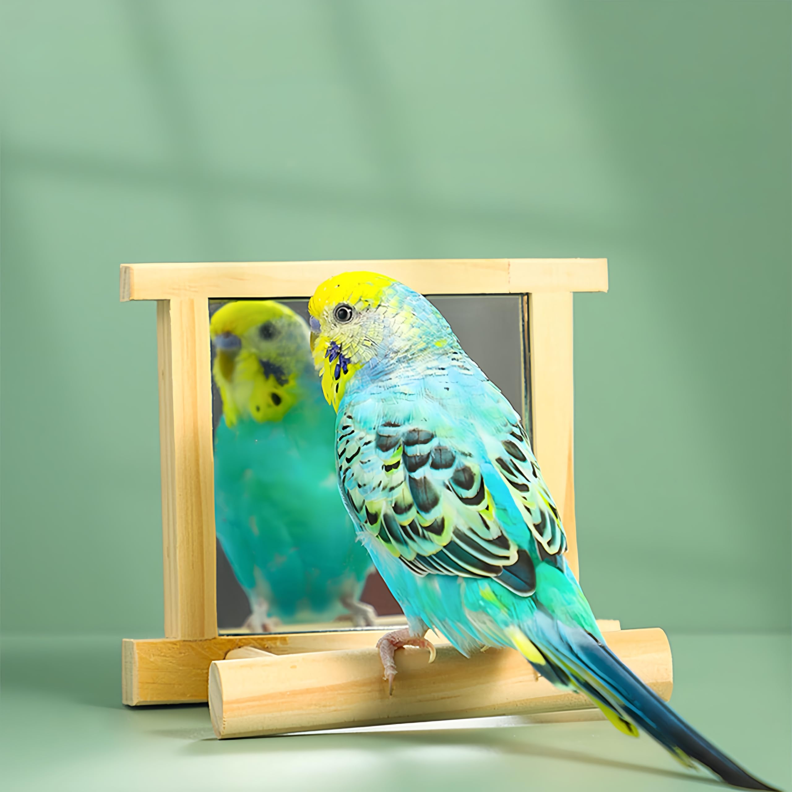HANZE Soporte para pájaros de madera natural con espejo, columpio de colibrí, perca y accesorio de juego, paquete de 2