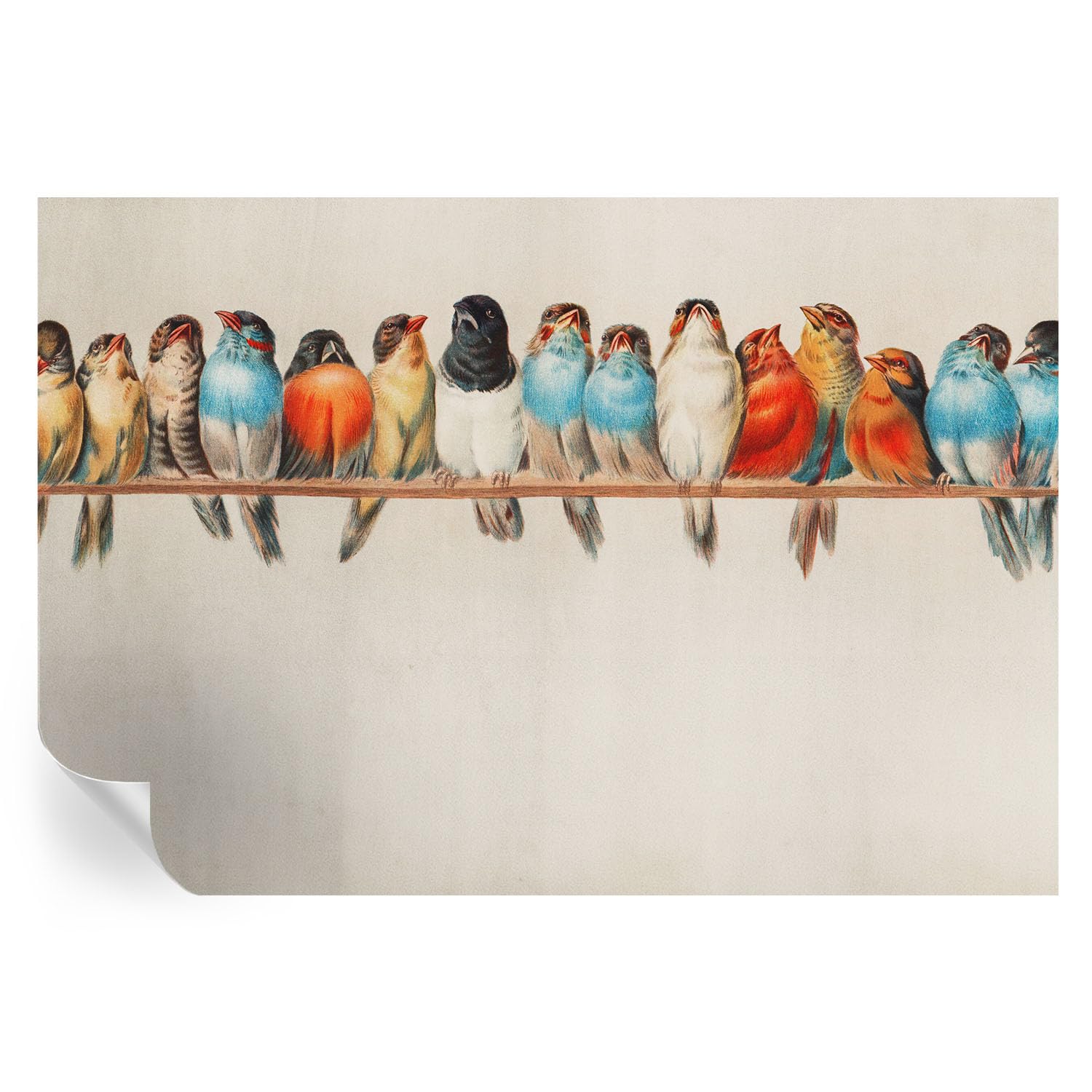 Revestimiento de pared autoadhesivo de 152x104 cm con diseño de pájaros para decoración del hogar