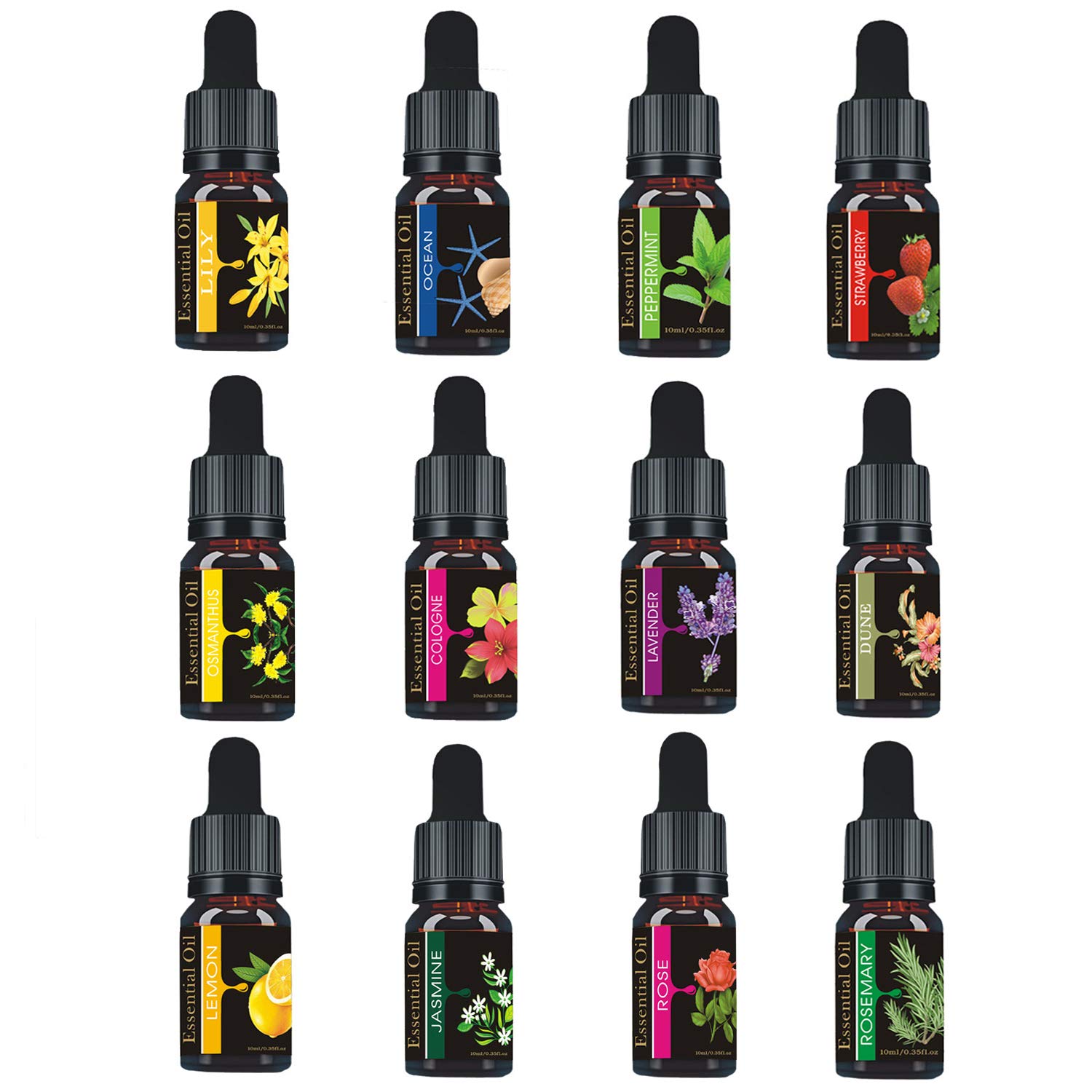 Pure Essence Oil Water Soluble Aromatherapy Oil Fragrant Oil for Aroma Diffuser Humidifier Aroma Expander 12 Bottle Per 10ML Elitzia ETMS016