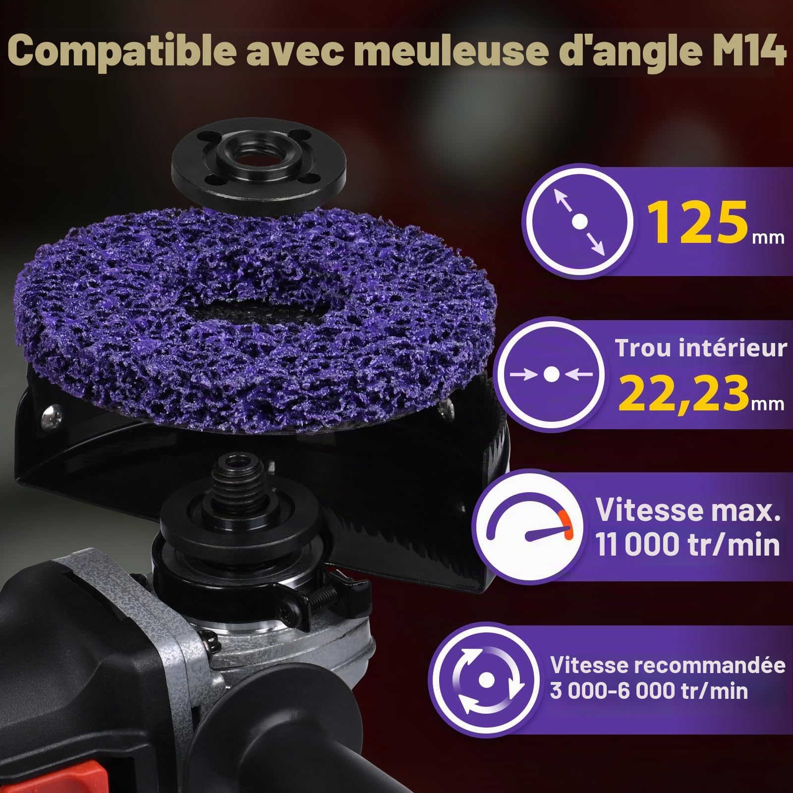 Lot de 5 Disques Abrasifs 125mm pour Meuleuse d'Angle｜Élimine Peinture & Rouille｜Nettoyage Profond Sans Abîmer les Surfaces｜Pour Métal/Bois/Pierre/Plastique｜Usage Pro & DIY