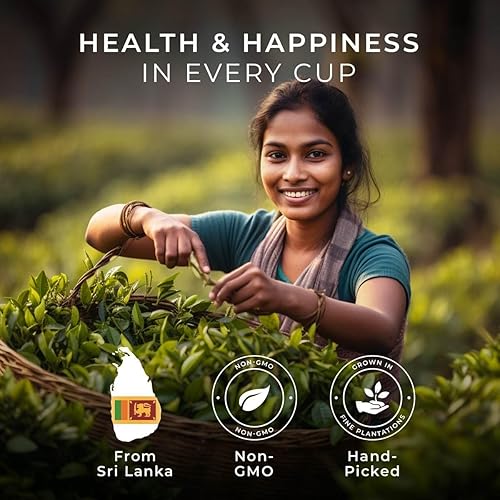 Miniatura 4 de Gya Tea Co Tazas K de té negro y naranja canela para Keurig  Tazas K de té negro suave altamente cafeinado  Comienza el día con cápsulas de té  Las