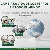 Ver la foto 6