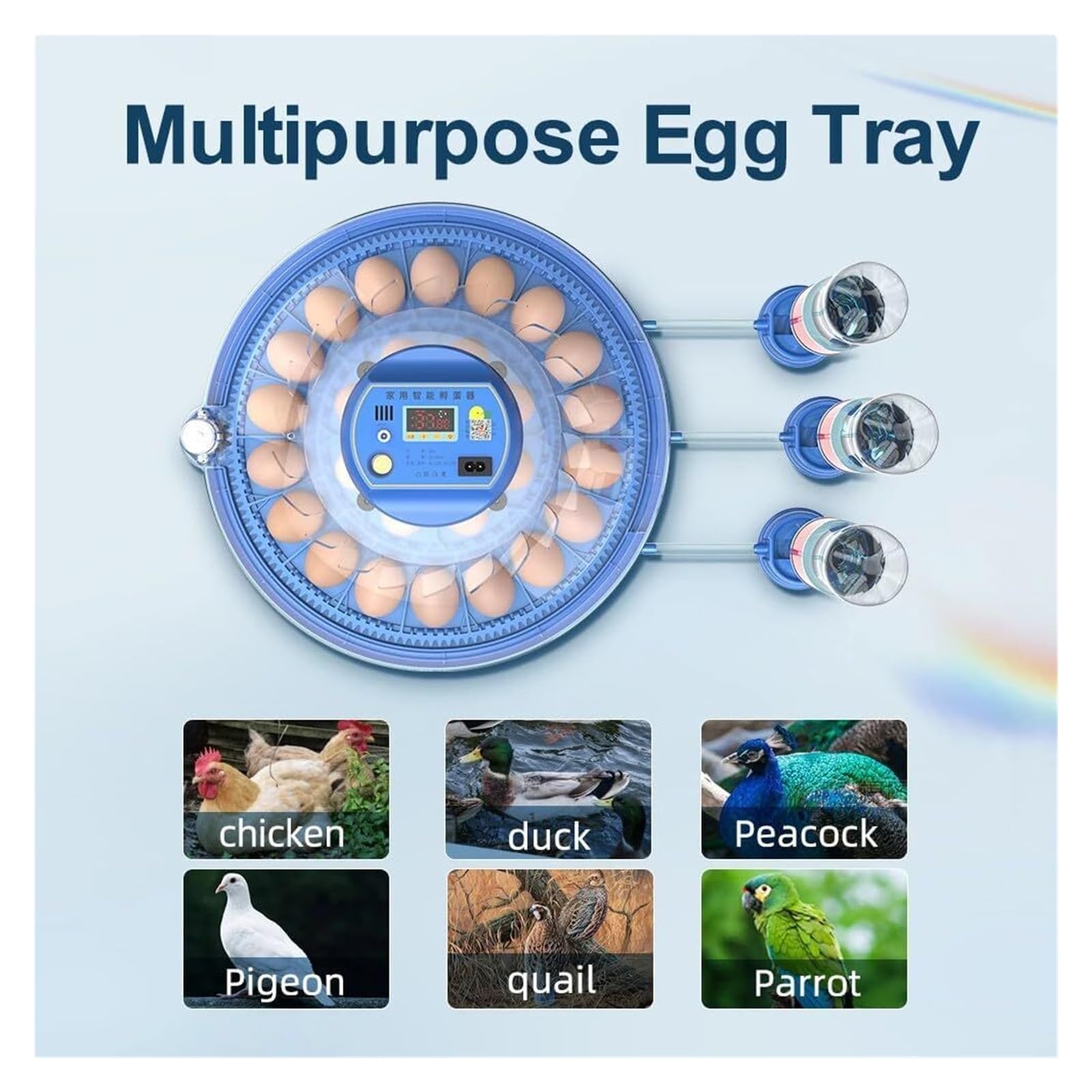 Inkubator Jaj, Automatyczny Inkubator, Inkubator od 8 do 62 jaj z automatycznym obracaniem i dodatkiem wody, odwrócona osmoza, do inkubacji kurcząt, kaczek i gęsi.(62eggs)