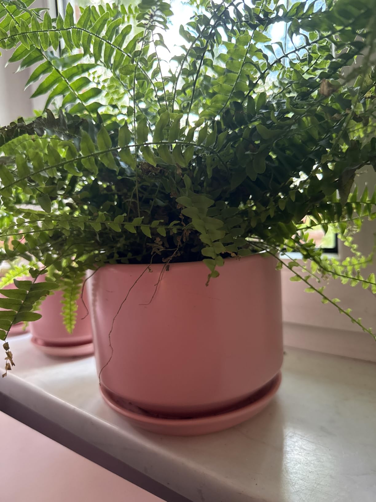Customer photo