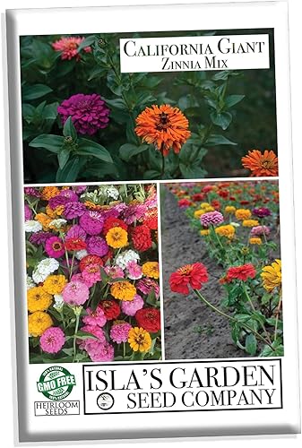 Semillas de zinnia "California Giant Mix" para plantar, más de 200 semillas de flores por paquete, semillas de jardín de Isla (semillas de jardín de