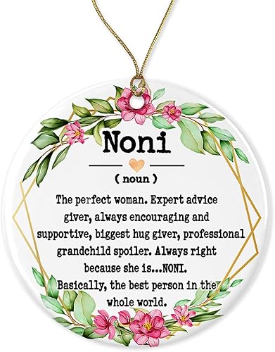 WolfeDesignPDD Noni Noun Ornamento Adorno de Navidad para Noni Adorno del Día de la Madre Regalos Noni Definición Noni Recuerdo impreso en