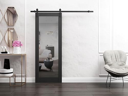 Miniatura 13 de Puerta de granero resistente de 42 x 80 pulgadas Lucia 1299 negro mate con espejo Juego de perchas de riel de 8 pies Puertas interiores