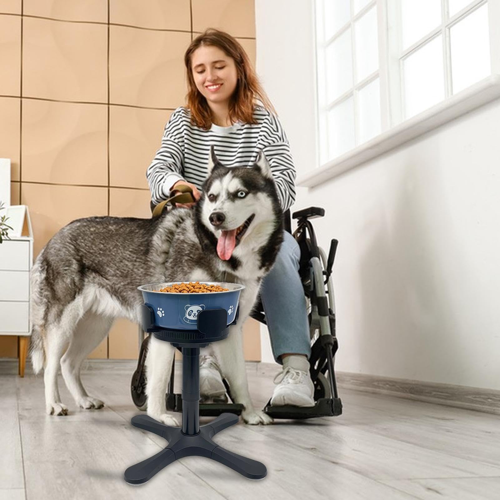 Support de gamelle pour chien – Support de gamelle surélevée à hauteur