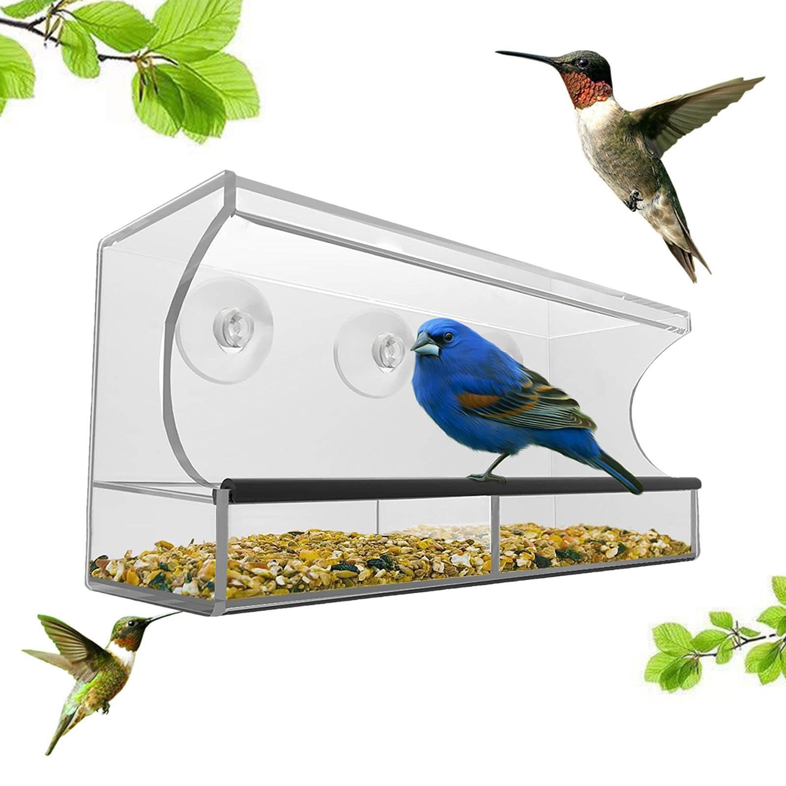 Mangeoire à oiseaux extérieure pour fenêtre pour observer sans faire fuir les animaux