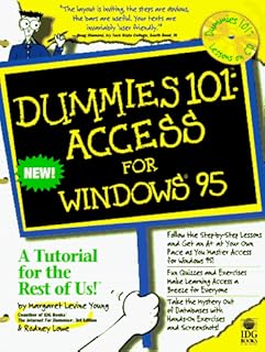 Dummies 101: Access For Windows 95 (Dummies 101 S.)