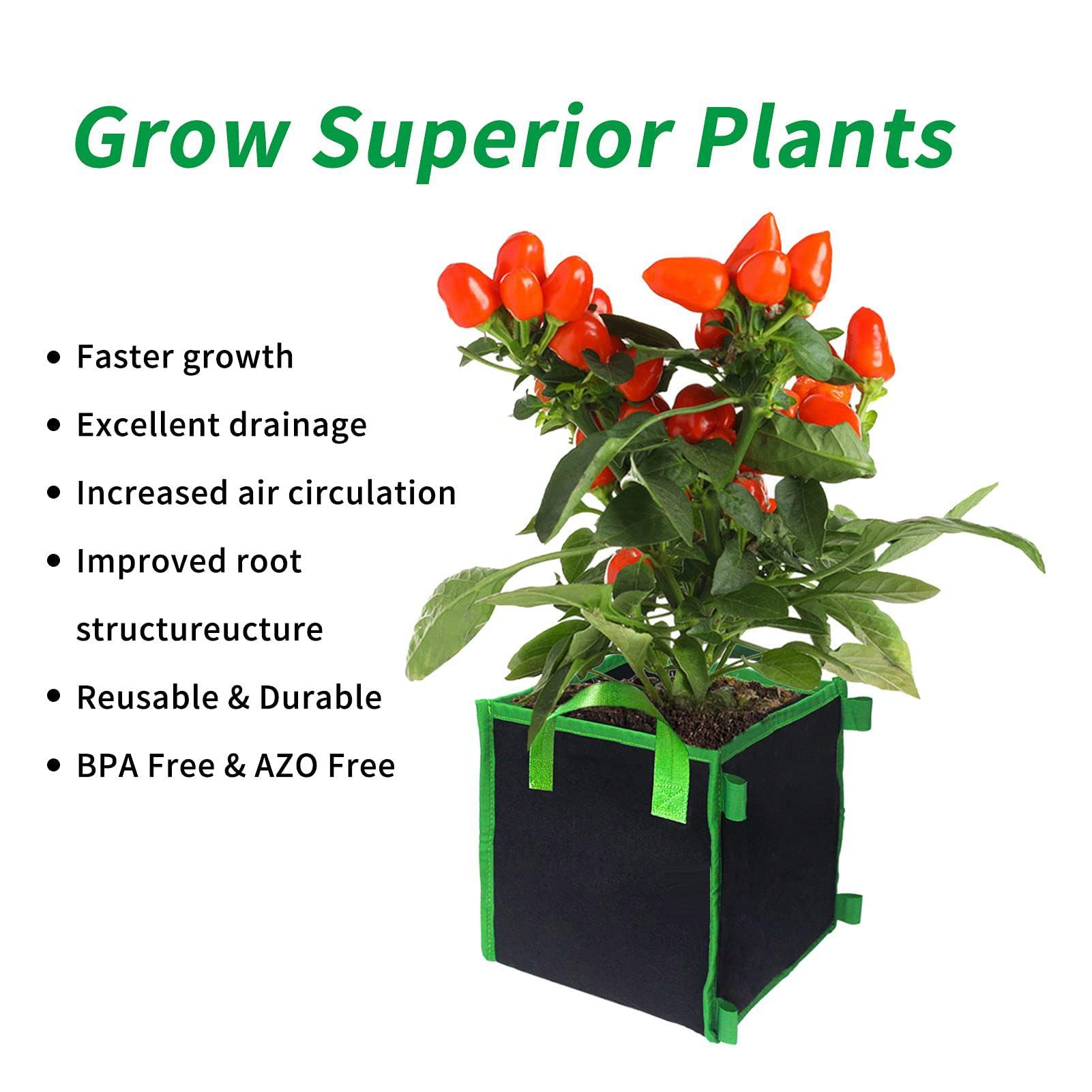 Coltivazioni In Idroponica E In Aeroponica - Casa Naturale - Foto 7