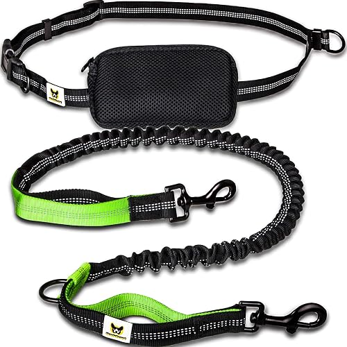 Correa para Hacer Jogging - para Perros, Reflectante y elástica, de 120 cm (Extensible hasta 200 cm)…