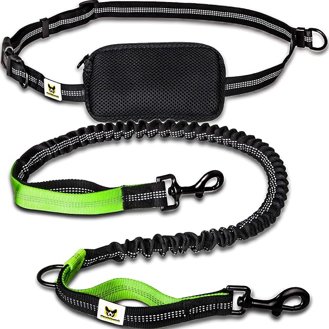Correa para Hacer Jogging - para Perros, Reflectante y elástica, de 120 cm (Extensible hasta 200 cm)…