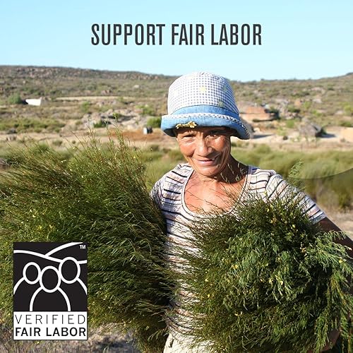 Vista 24 de Numi - Té orgánico Rooibos, caja con 100 bolsas de tisana de hierbas (el embalaje puede variar)