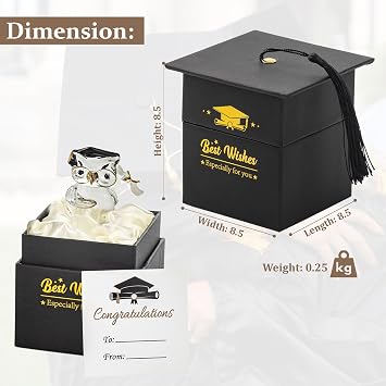 Suprano Graduation Gift Crystal Glass Owl Present Graduation Gifts for Her/Him, Keepsake Ornament In Massage Box
