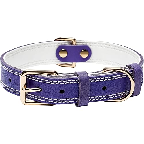 Genuine Leather Dog Collar, Heavy Duty Wide Dog Collar for Small, Medium, Large and Extra Large Dog (S: 0.8" Wide for 13.4"-15.8" Neck, Dual Stitch - Purple)