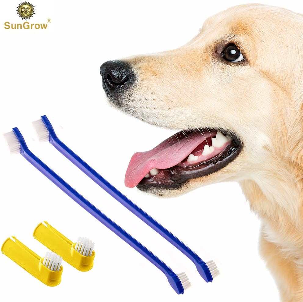 SunGrow Dog Toothbrush Set, 2 Long Dual-Headed Brush, 2 Finger Brushes, 4 Pcs per Pack : Pet Supplies