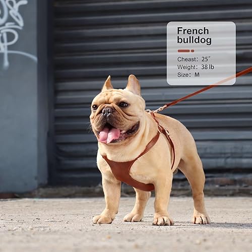 Miniatura 9 de Didog Arnés sin tirones para perros pequeños, suave y ligero juego de arnés y correa para perros pequeños, arnés de cuero duradero y ajustable para