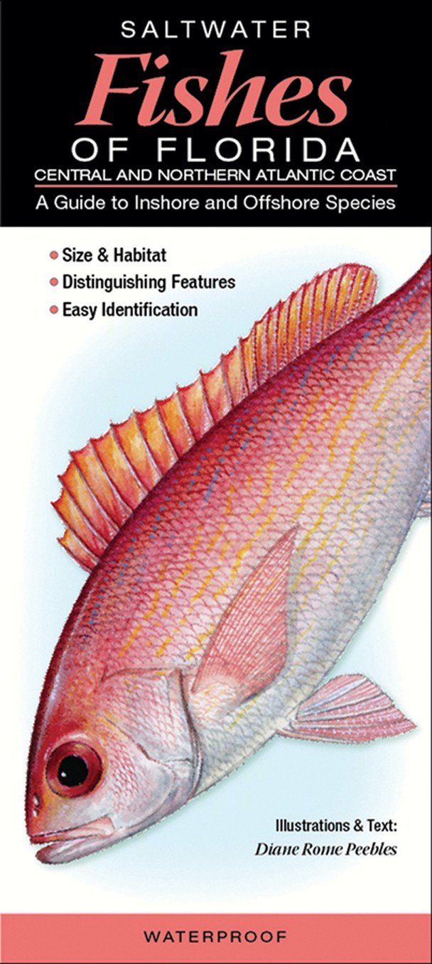 Saltwater Fishes of Florida-Central & Northern Atlantic Coast: A Guide to Inshore & Offshore Species