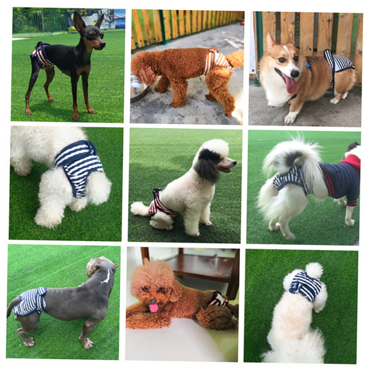 SUPVOX 2pcs Physiological Pants for Protection Dogs Male Dog Diapers Dog Nappies Always Dog Pants Doggy Physiology Period Underwear Maternity Dog Diapers Male Discreet Puppy Cotton