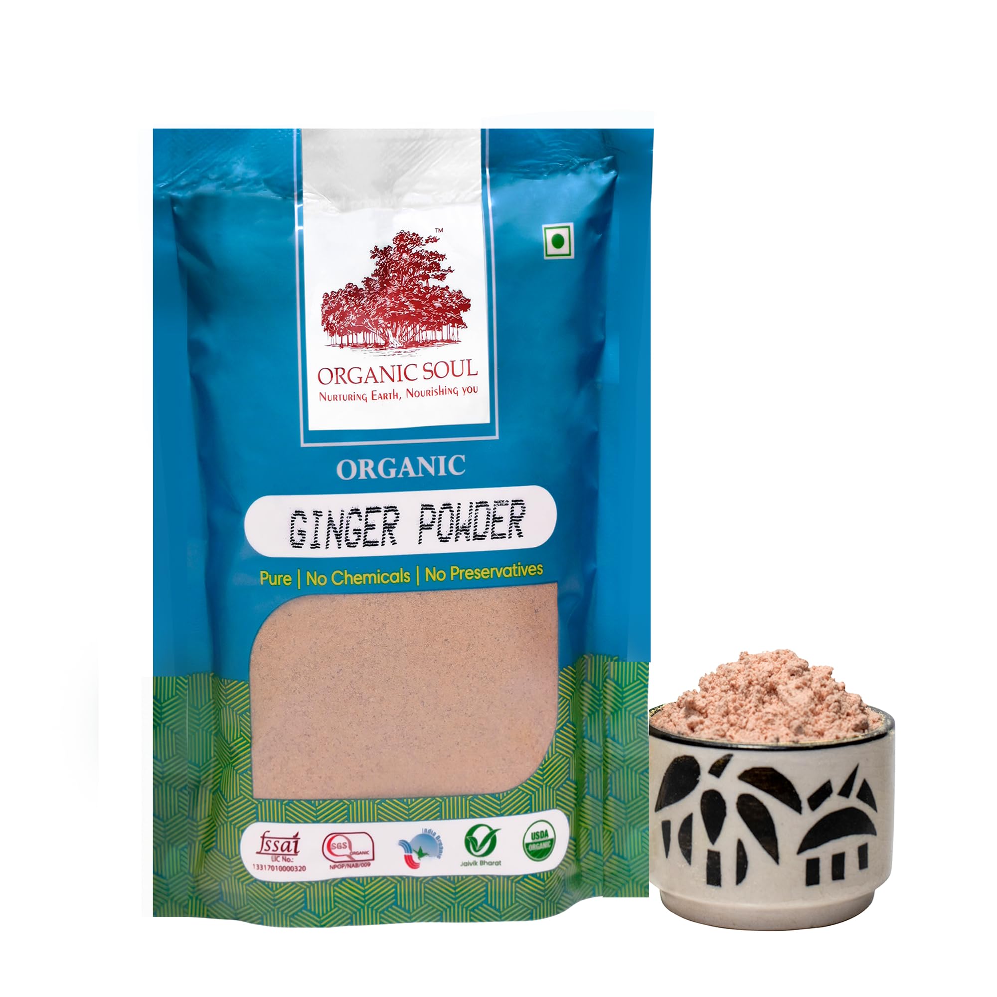 Organic Ginger Powder | Adrak Powder | Sonth Powder - 100 GM by 100% Organic/NPOP Certified I Organic Ceritfied