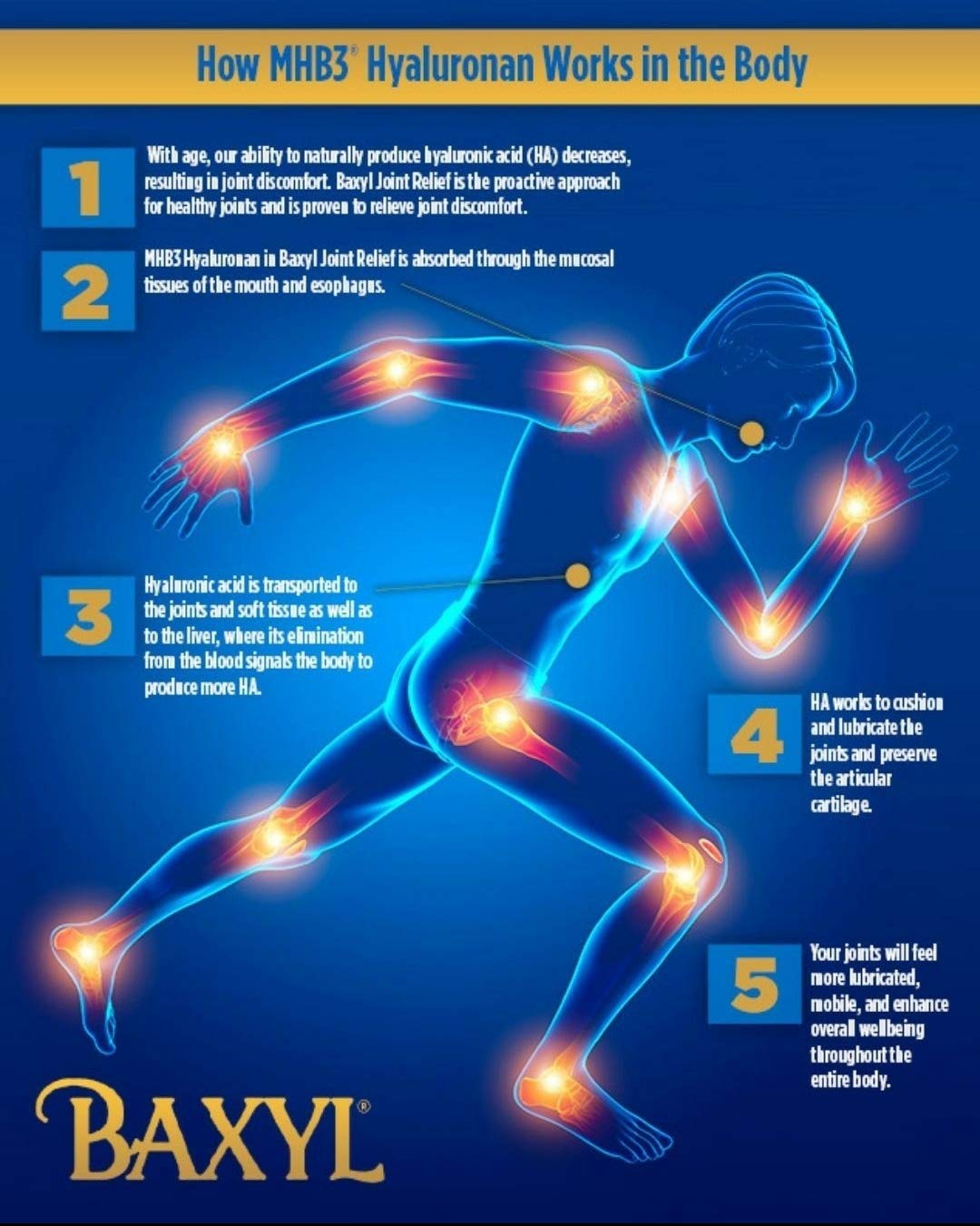 Baxyl® Liquid Hyaluronan Acid for Joint Relief Supplement (Vegan