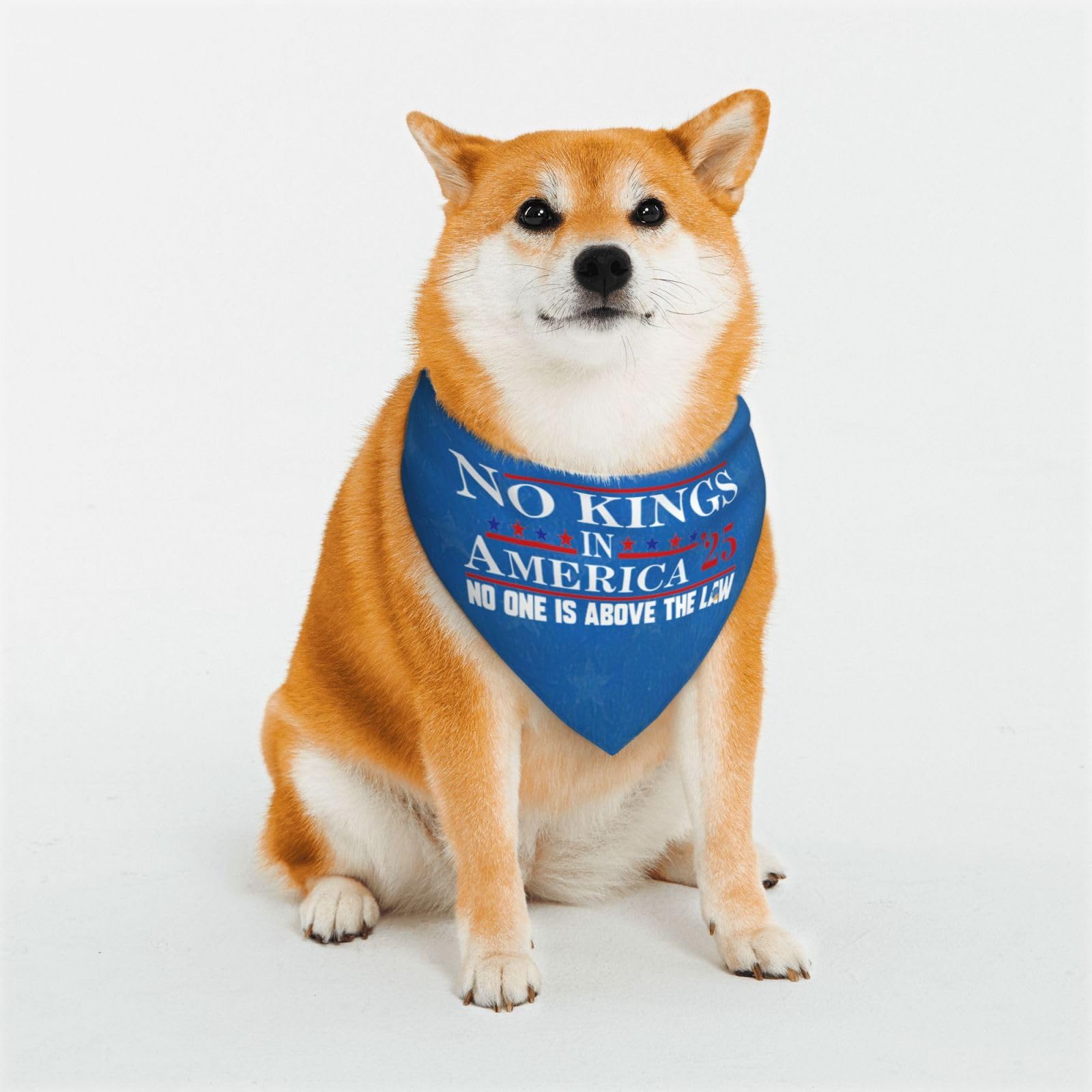 No Kings in America Dog Bandana Pet Bandanas Dogs Scarf Washable Pet Neckerchief Triangle Dog Bibs Puppy Kerchief