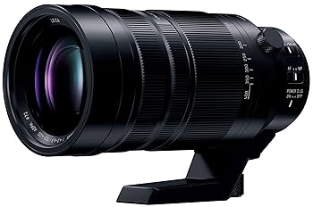 パナソニック LUMIX LEICA DG 100-400mm H-RSA100400.jpg?v=1694469442&