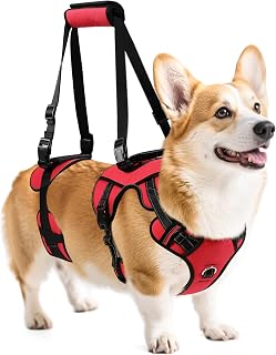 NOYAL Dog Lift Harness for Senior & Injured Pets – Full-Body Support Sling with Breathable Mesh, Front/Rear Leg Assist for Arthritis, Hip Dysplasia & Post-Surgery Recovery (Medium-Large Breeds)