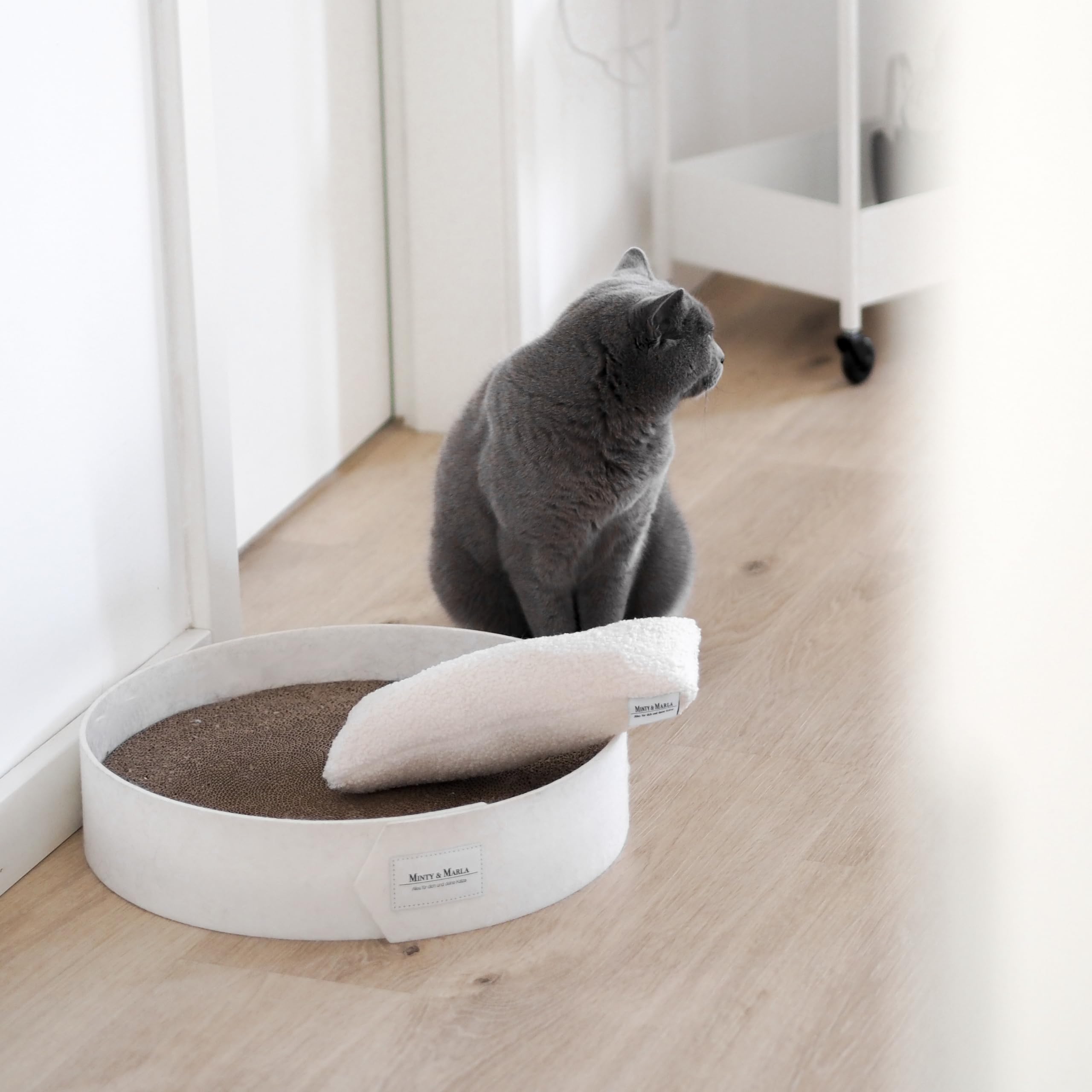 Minty&Marla® | Kratzbrett inkl. Katzenminze | Kratzmöbel für Katzen | Kratzpappe | Stylisches Kratzboard Katze | Katzenbett für Katzen mit Filzrand | Schlafplatz und Kratzmöglichkeit | Weiß