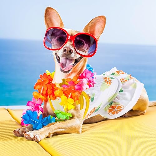 Miniatura 4 de Sweetude 8 piezas de vestidos de perro para perros pequeños y niñas, vestido de verano para cachorros, vestido de princesa, ropa para perro, ropa de