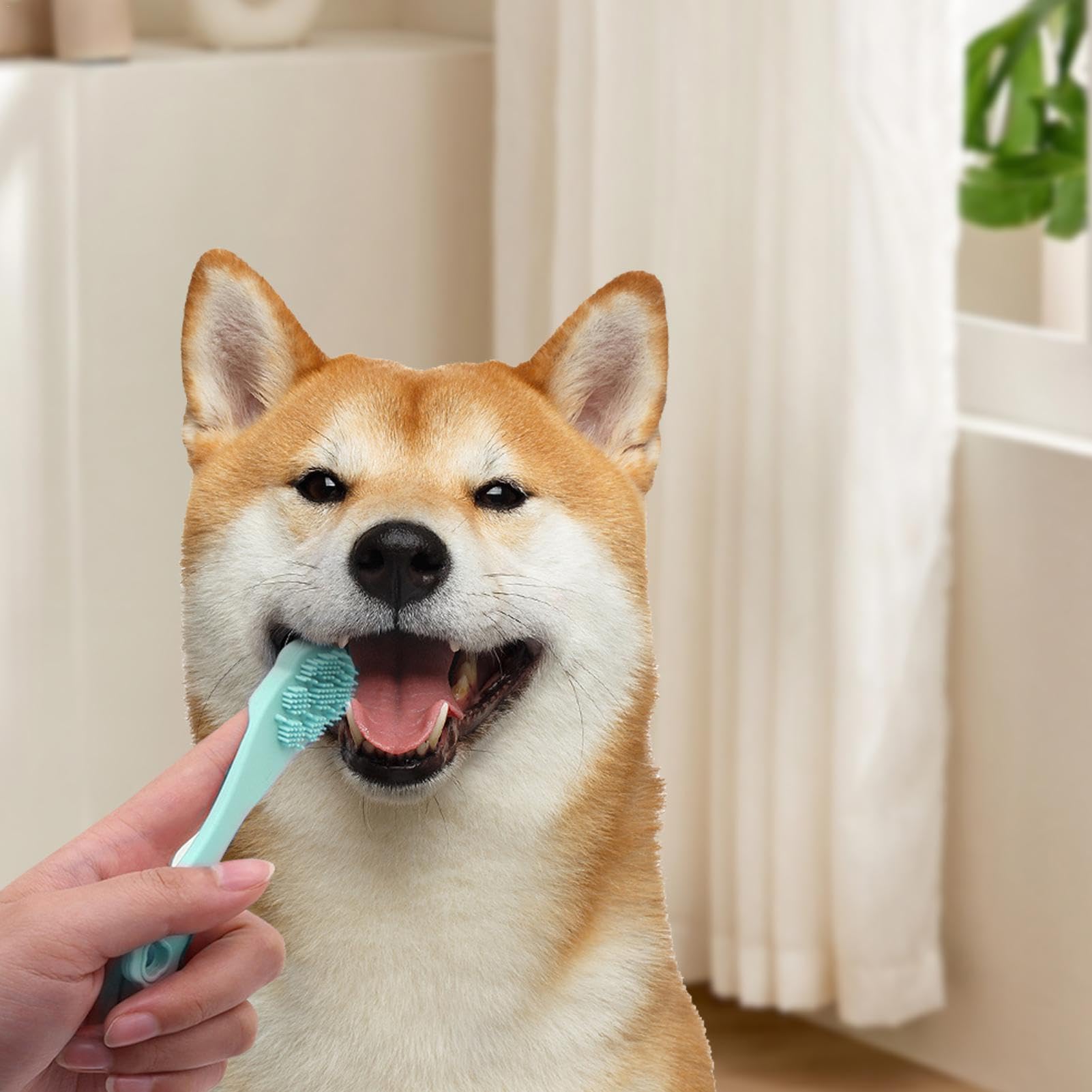 Spazzolino da denti in silicone per cani, spazzolino da denti per cani | spazzolatura dei denti di cane a forma di di gatto, spazzola per la pulizia dei denti di cane di alimentare