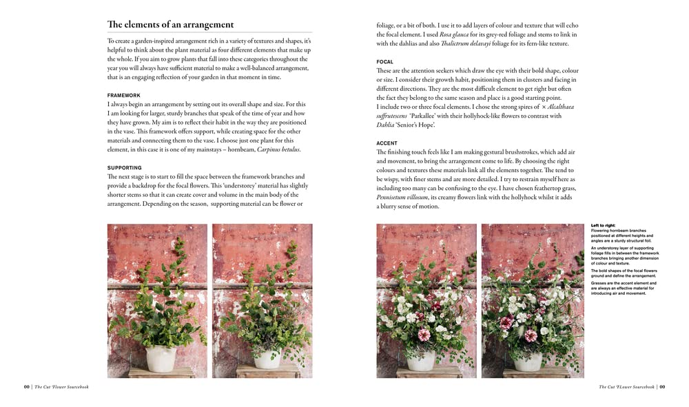 The Cut Flower Sourcebook: Exceptional Perennials & Woody Plants for Cutting