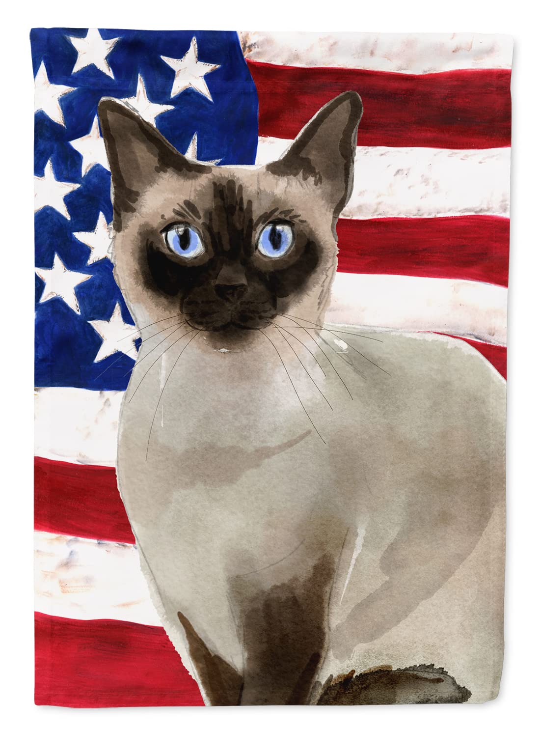 Drapeaux américains en toile pour extérieur Caroline's Treasures CK3039