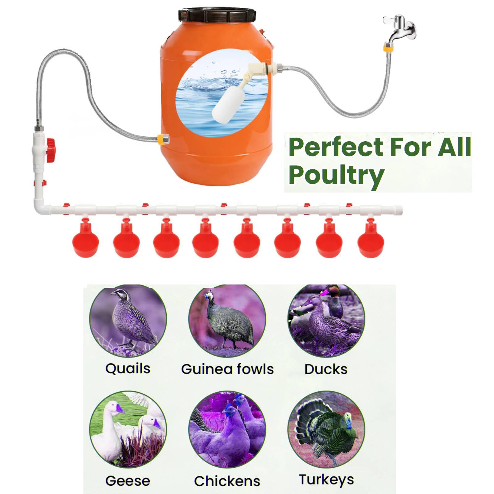 Sistema automático de riego de pollos de 58 piezas con 8 tazas de agua y 2 mangueras de jardín, tubo de PVC de 1/2 pulgada, válvula flotante y kit de conector de manguera para gallineros, gansos