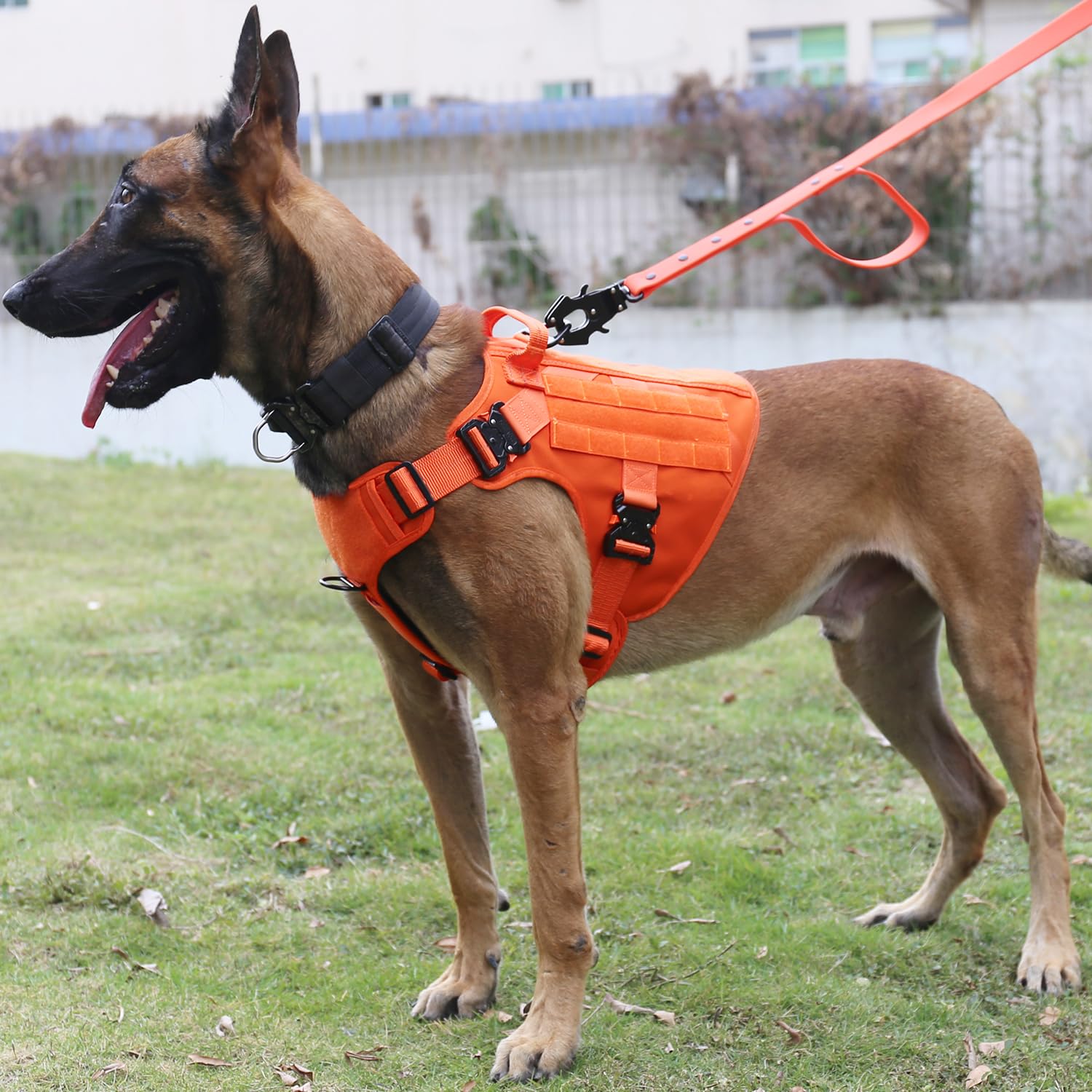 ICEFANG Tactical Dog Harness with 4X Metal Buckle,Dog MOLLE Vest with Handle,No Pulling Front Clip,Hook and Loop Panel for Dog Custom Patch (L (Neck:18"-24" ; Chest:28"-35"), Safety Orange)