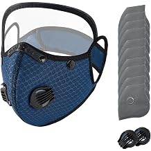 Reusable Carbon Filter Dust Mask with Detachable Adjustable Anti-Fog Goggles