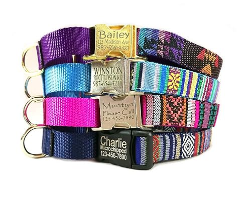 Martingale dog collar Personalized id laser engraved silver gold metal black plastic buckle