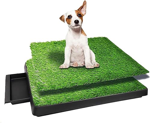 Toilettes pour Chiens TOOSOAR