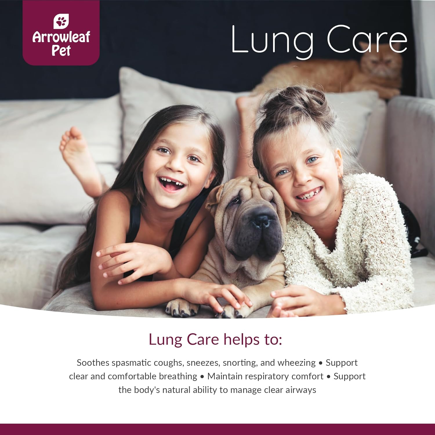 Lung Care by NaturPet Inc for Cats and Dogs | Respiratory Support for Pets with Breathing Issues | 100mL Herbal Tincture