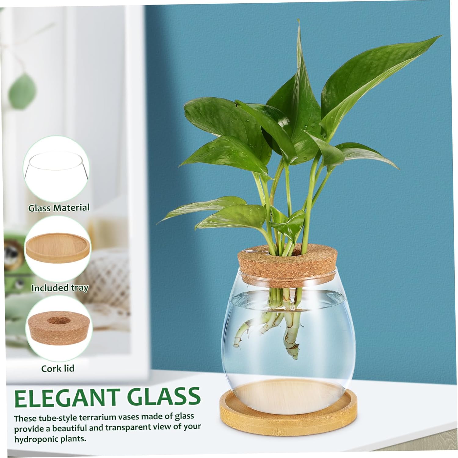 2pcs Glass Propagation Station Vases with Cork Lid and Tray Borosilicate Hydroponic Planters for Indoor Plants Terrarium Jars for Root Display and Soil Gardening Stylish Home Decor