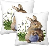 Vista 1 de Juego de 2 fundas de almohada decorativas de conejo de Pascua de 16 x 16 pulgadas, con diseño de conejos y hojas de primavera, fundas de almohada