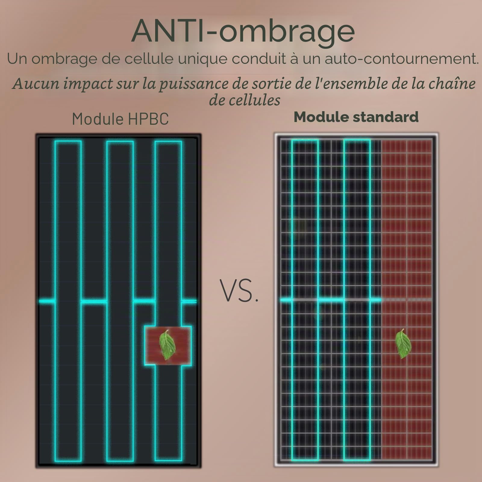enjoy solar® Panneau solaire monocristallin 100W 12V avec technologie HPBC – Rendement élevé 25%, cellules solaires 182mm, Full Black, idéal pour camping-car, balcon, abri de jardin et bateau