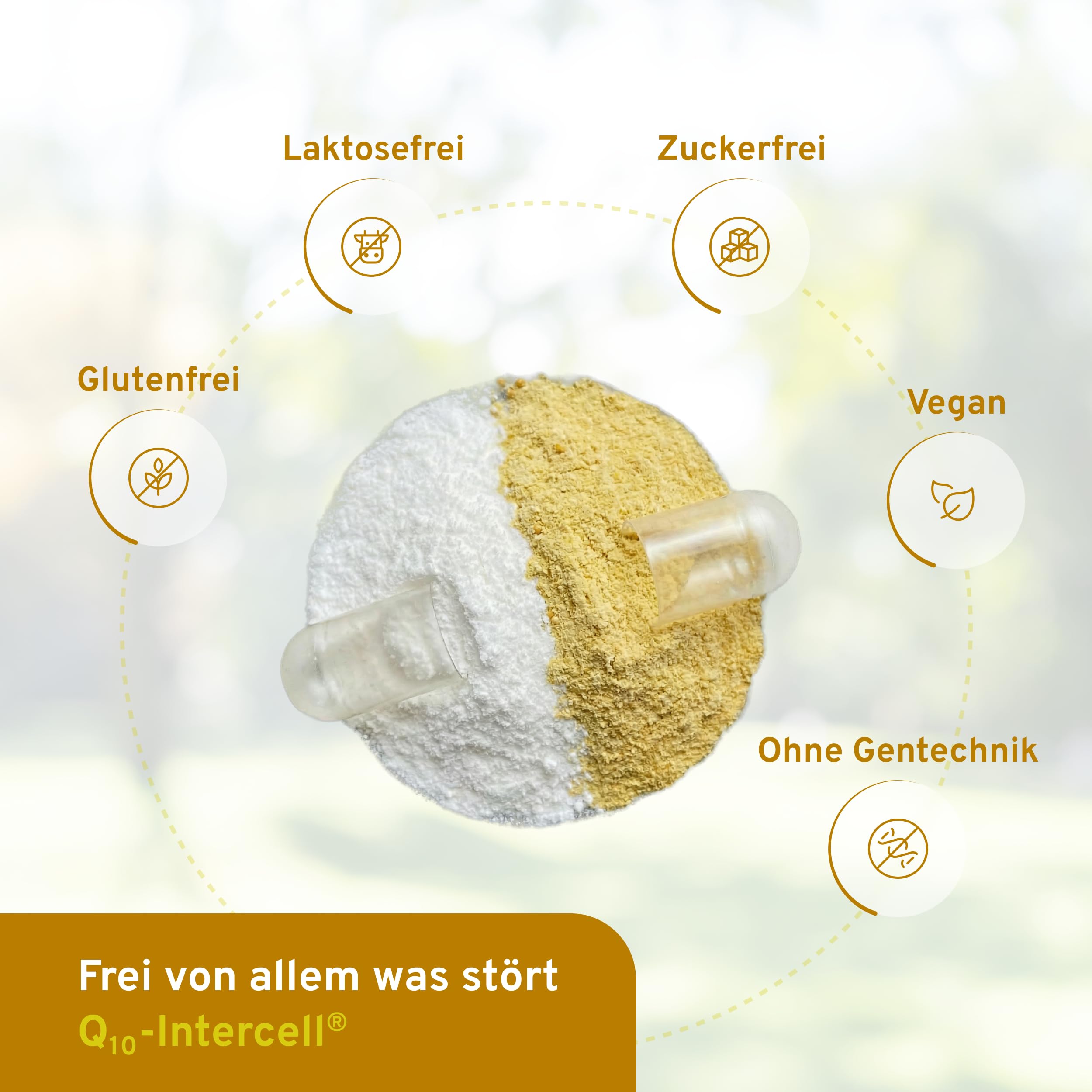 Coenzym Q10 Intercell mit Ubichinol Pellets - Hochdosiert & exzellente Bioverfügbarkeit (Humanstudie) – 60 Kapseln mit Selen, Vitamin C & E – Innovatives 2-Phasen System ohne Gelatine